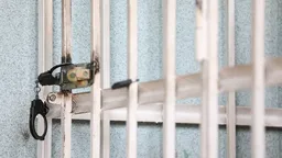 В Белгородской области задержали мужчину, которого обвиняют в публичном оправдании терроризма и вербовке в военное подразделение
